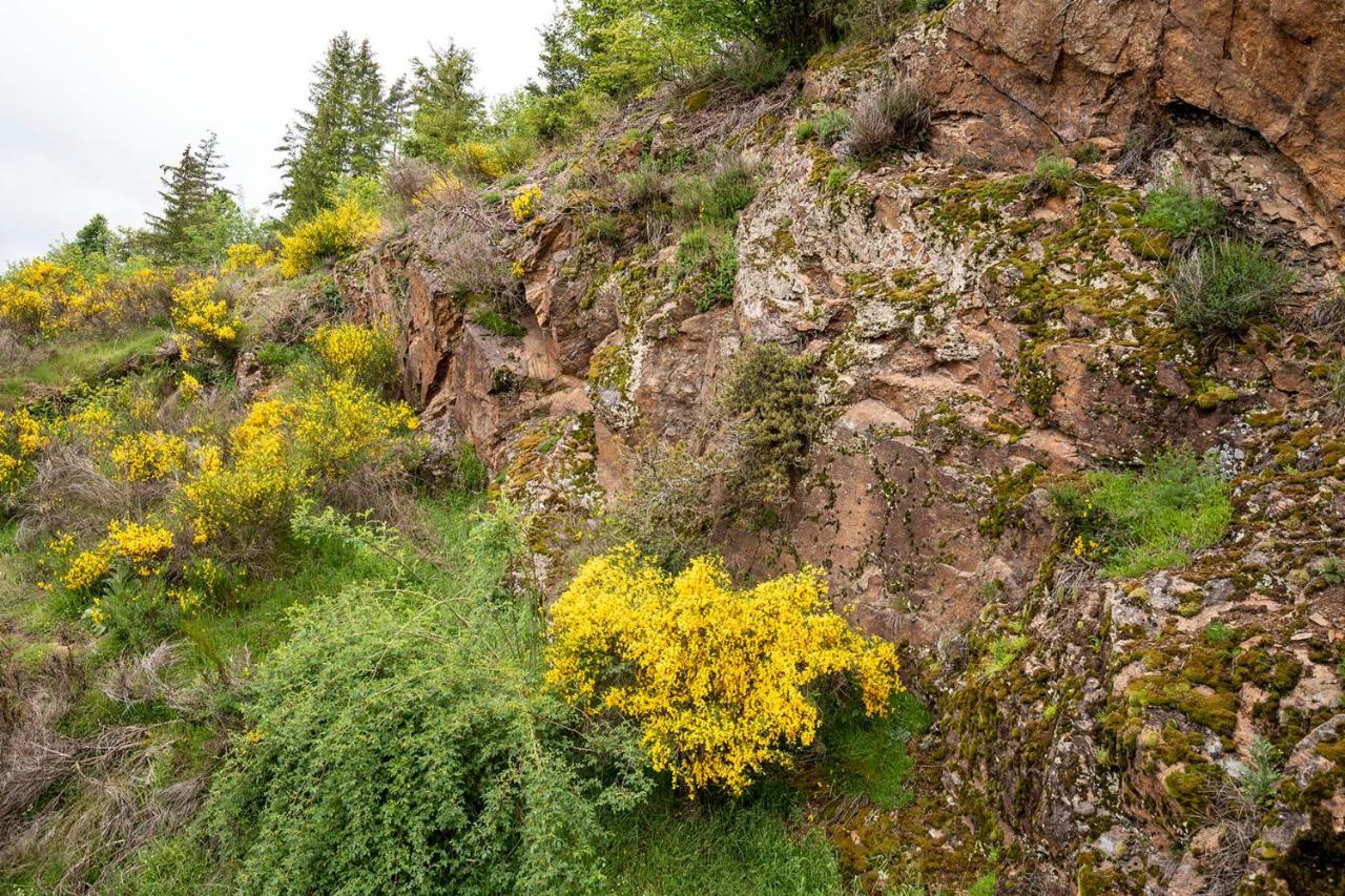 Moulin Des Comtes - Chambre Les Rochers Viverols Zewnętrze zdjęcie